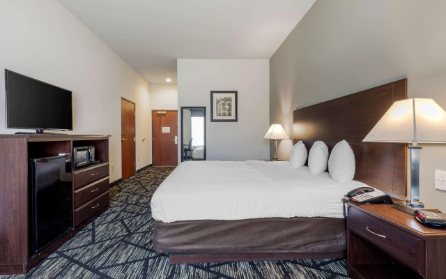 BEST WESTERN PLUS McKinney Inn & Suites