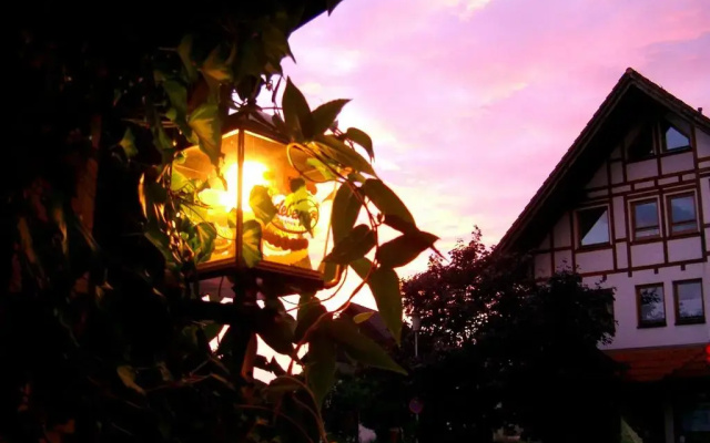 Fritzes Goldener Stern