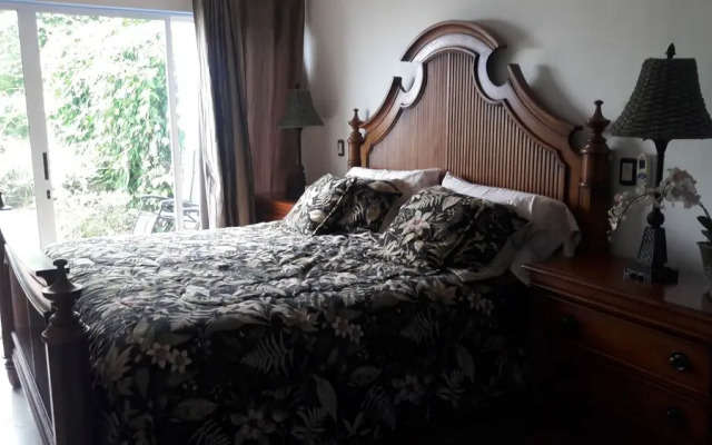 Pura Vida Rental