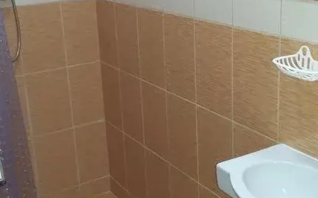 Vavilon 15