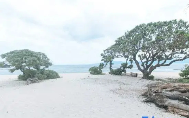 Zids Island Emprise Beach House