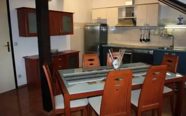 Apartment Skorin