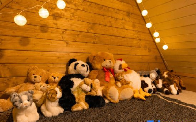 Hermann Teddy Collectors' House