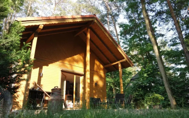 Wald Und Wohlsein