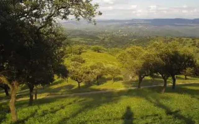 El Añadío