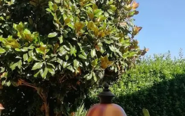 Il Nido Rustico