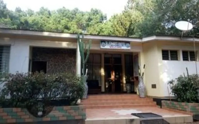 Elephant Motel