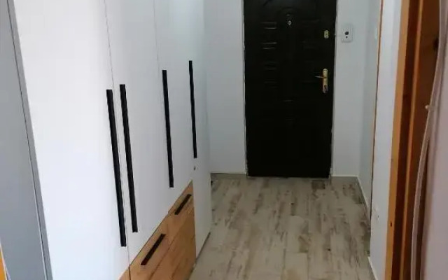 New Insomnia Studio