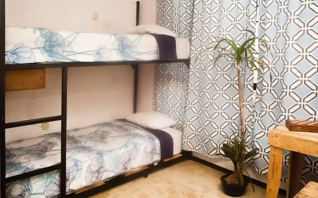 Frida Kerida Hostal