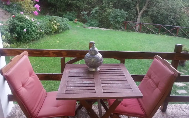 Forest View B&B