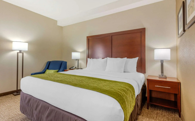 Comfort Inn Lenoir City-Knoxville