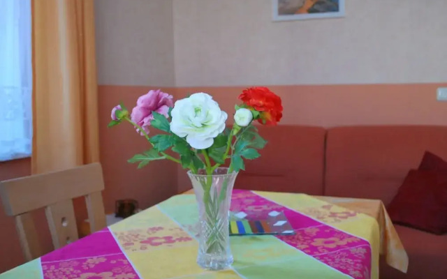 Simplistic Apartment in Kühlungsborn near Beach