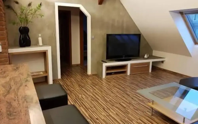 Old Town Apartment Spilberk by goodnite cz