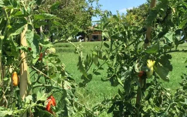 Villa Marta