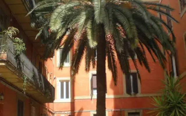 B&B Musei Vaticani