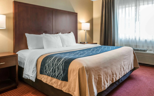 Comfort Inn Lacey - Olympia