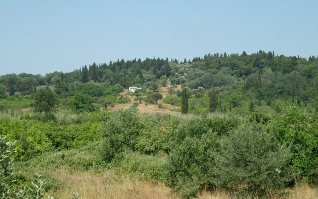 Tom's House/2 Between Paleokastritsa Dassia Ipsos!
