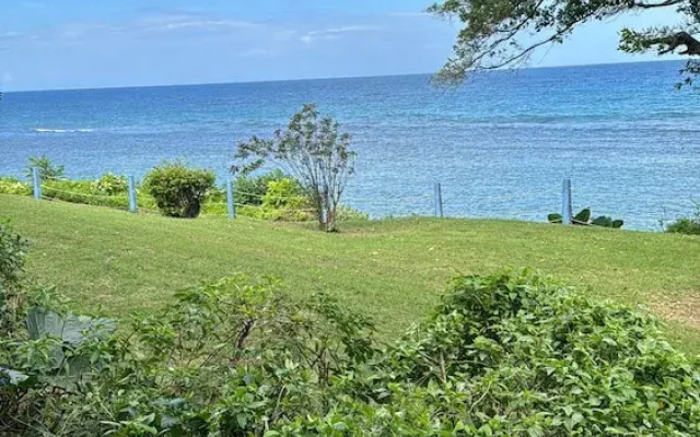 Inviting 1-bed Apartment in Ocho Rios
