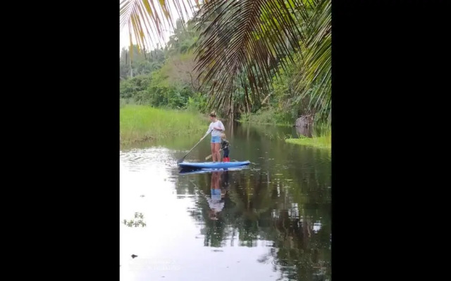 Room In Lodge - Method Living Tropical Edition