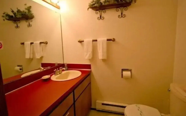 Mt Baker Lodging Condo 73- Sleeps 6