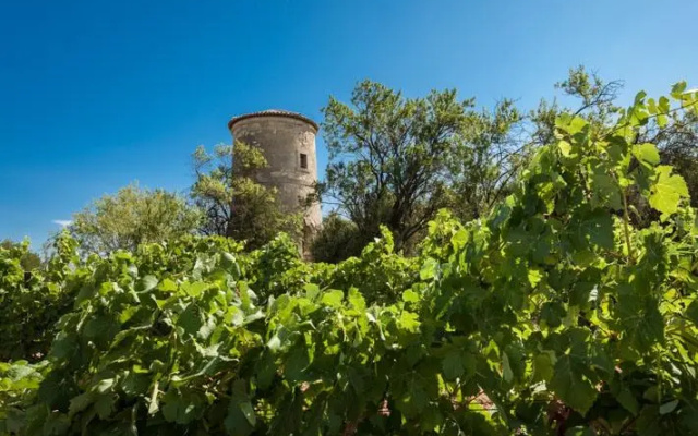 Gîtes Pech-Céleyran