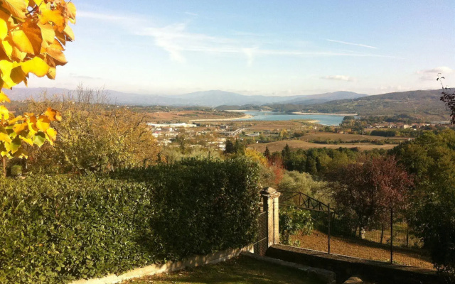 Poggio agli Ulivi