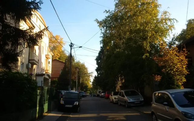 Flat Kosutnjak 9