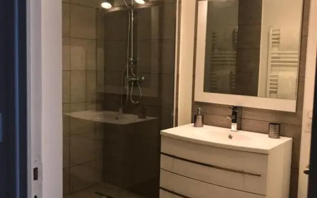 Roanne-centre appartement