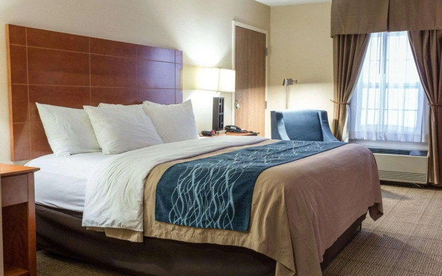 Comfort Inn Augusta