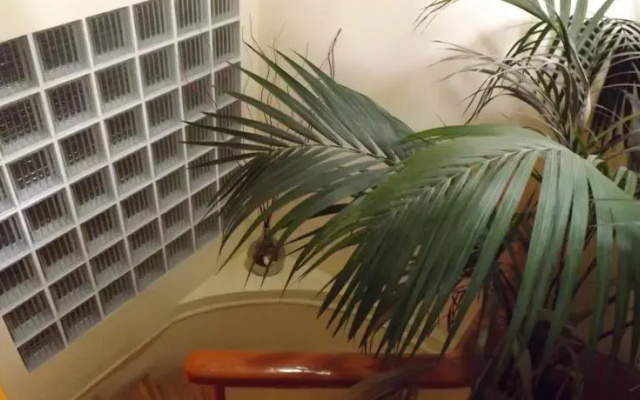 Holiday Studios - Rooms
