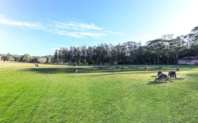 Morisset Park - 2 Bed