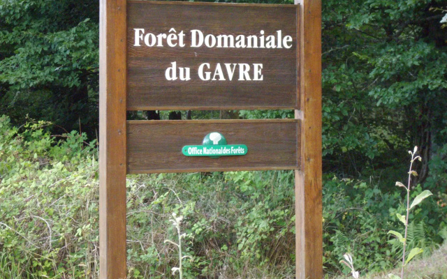 Le Nid dOmer - Gite