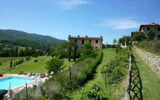 Vigneto Rimaggio