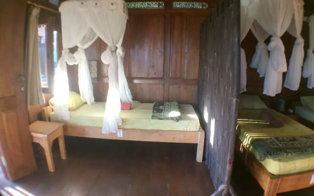 Green Paddy Hostel & Villa