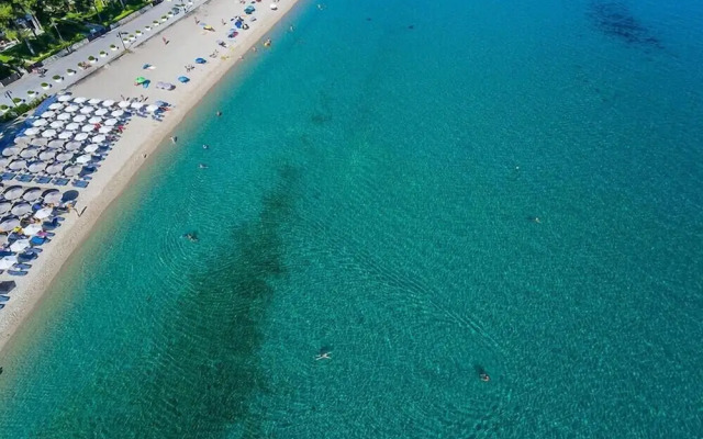 Kripis House