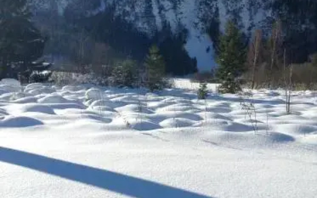 Wachhof
