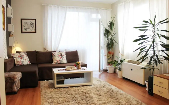 Sunny Day Apartment