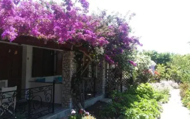 The Garden