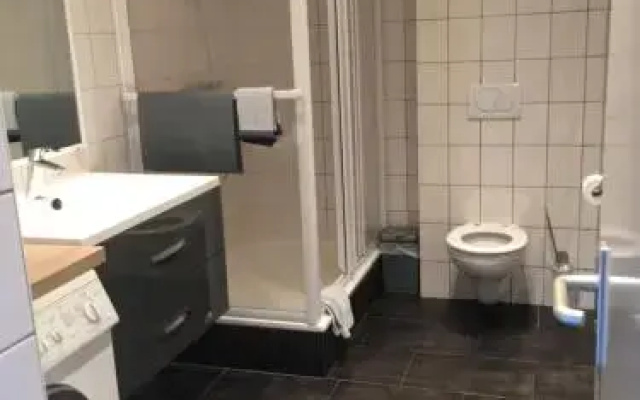 Meeuw