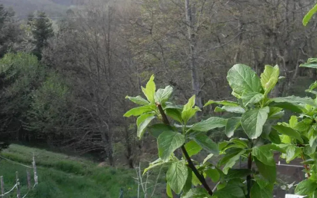 Il rifugio di betta