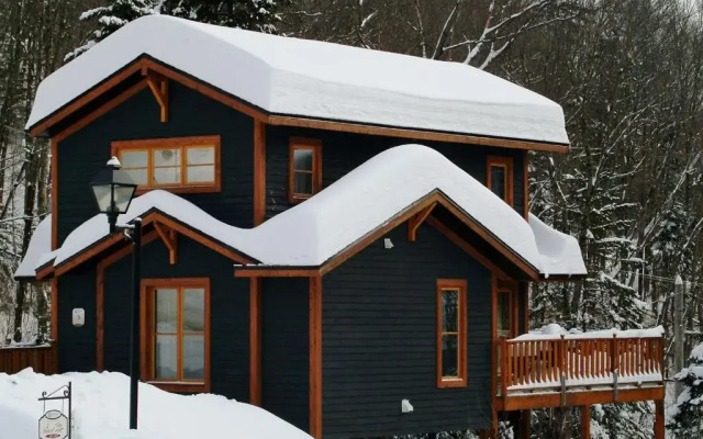 Chalet- 03 Chemin Alpin