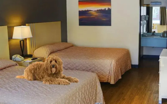 Virgin River Hotel and Casino