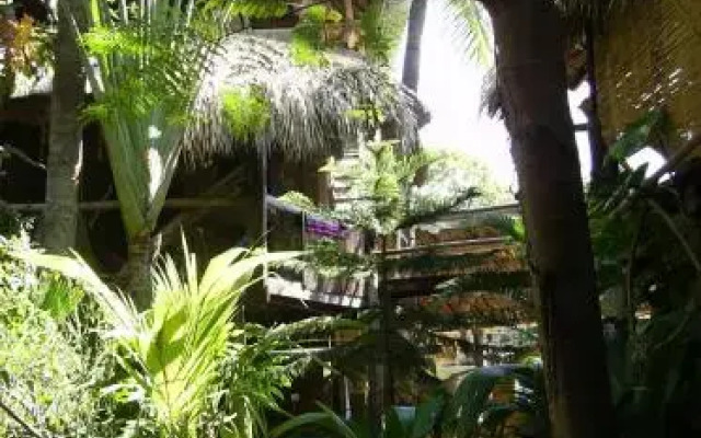 Castillo Oasis