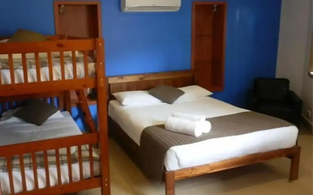 Koala Tree Motel