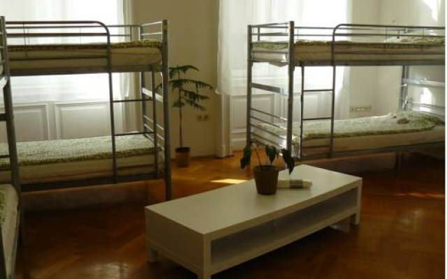 Activity Hostel