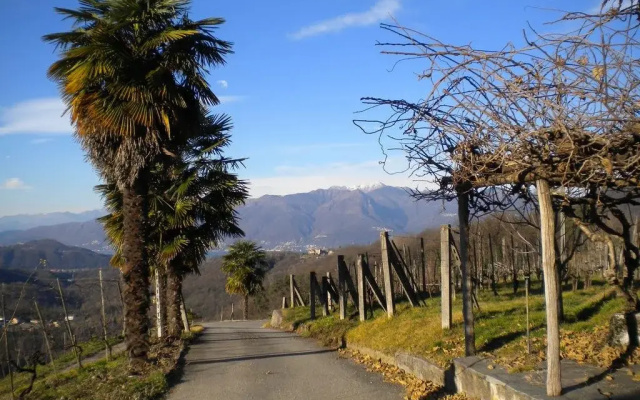 Agriturismo Azienda Viti-Vinicola Hostettler