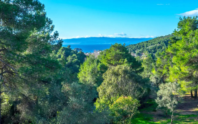 Filoxenia Hotel Skiathos
