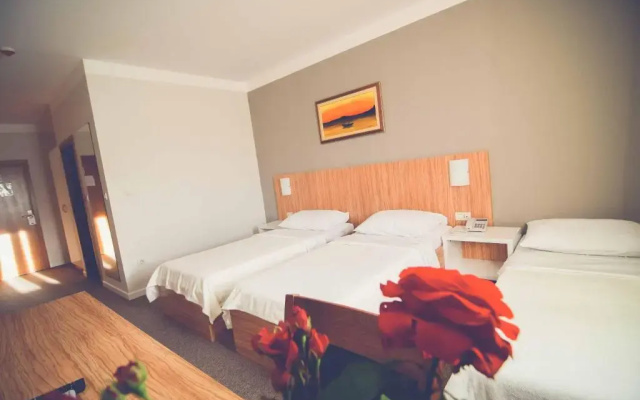 Hotel Phoenix