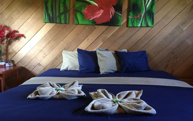 Casitas joanna