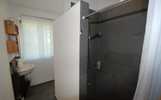 Bio-Studio Königskerze